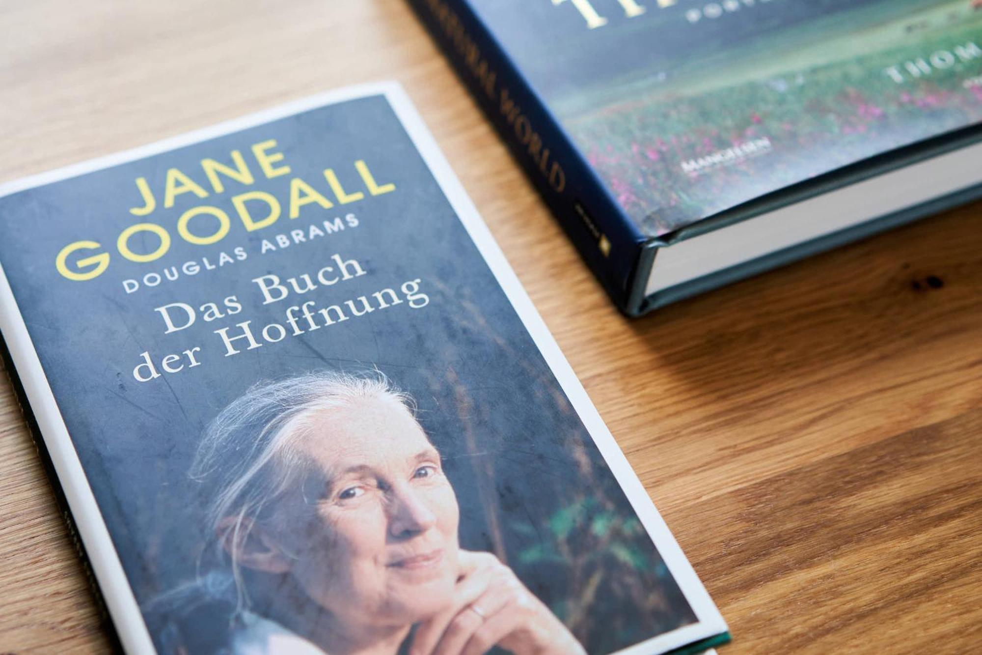 Hotel Alte Seifensiederei - Jane Bad Tölz Zewnętrze zdjęcie